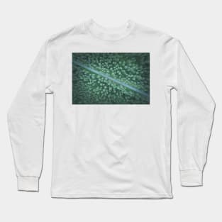 Car on the road going diagonally through the forest top down aerial view Long Sleeve T-Shirt